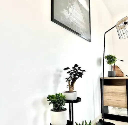 T2 Republique Parking Inclus Daire